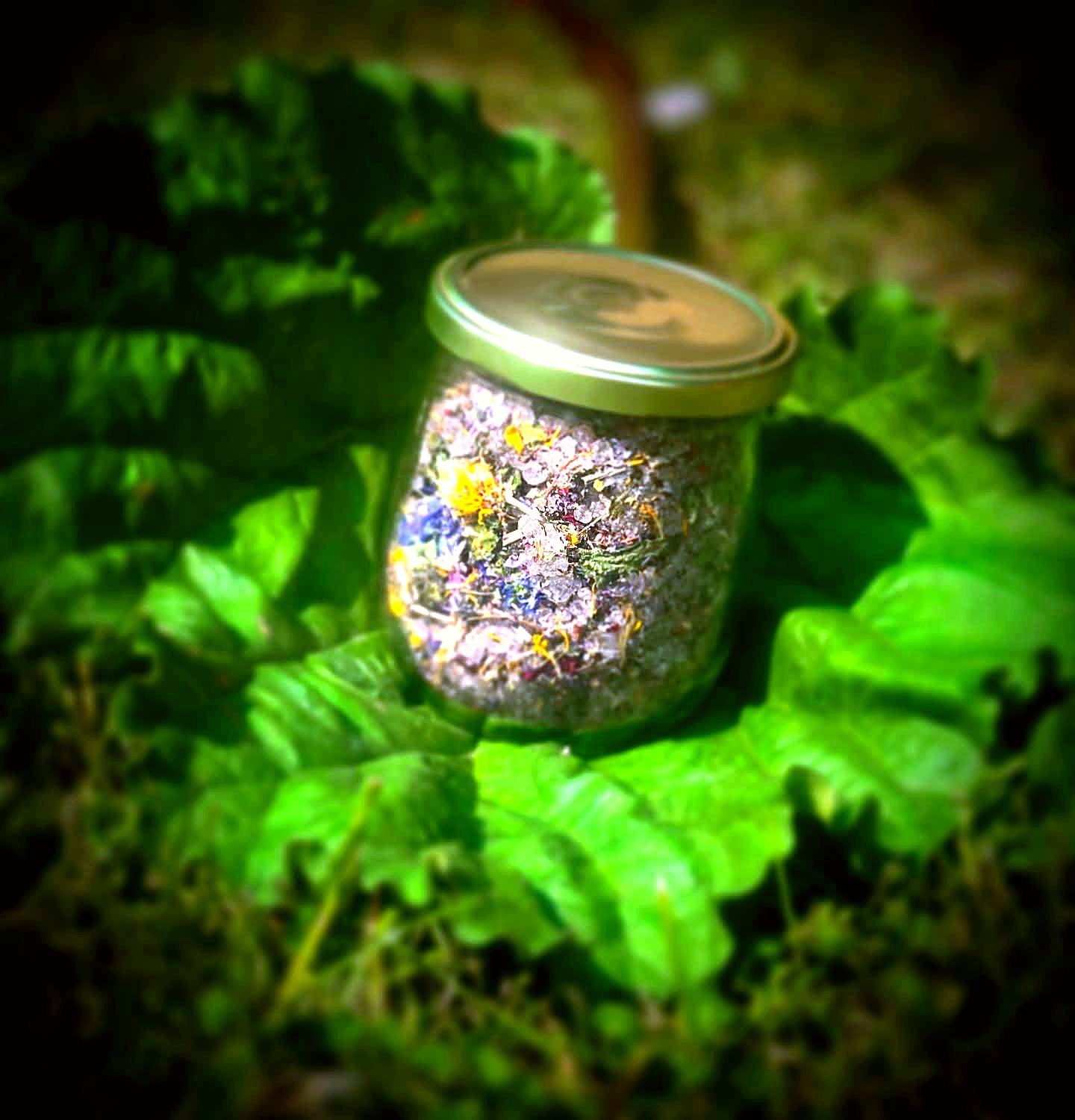 Einweckglas mit selbstgemachtem Blüten-Kräutersalz im Garten – natürliche Zutaten vom Privatkoch Fritzi