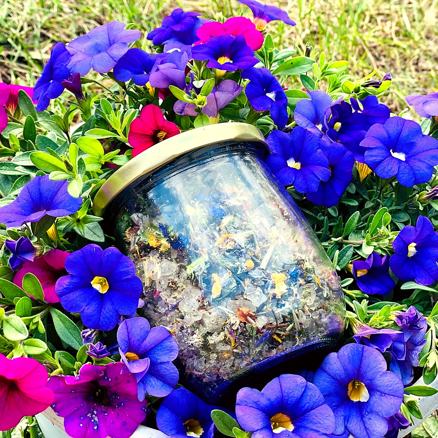 Einweckglas mit Blütensalz, eingebettet in blaue Petunien im Garten