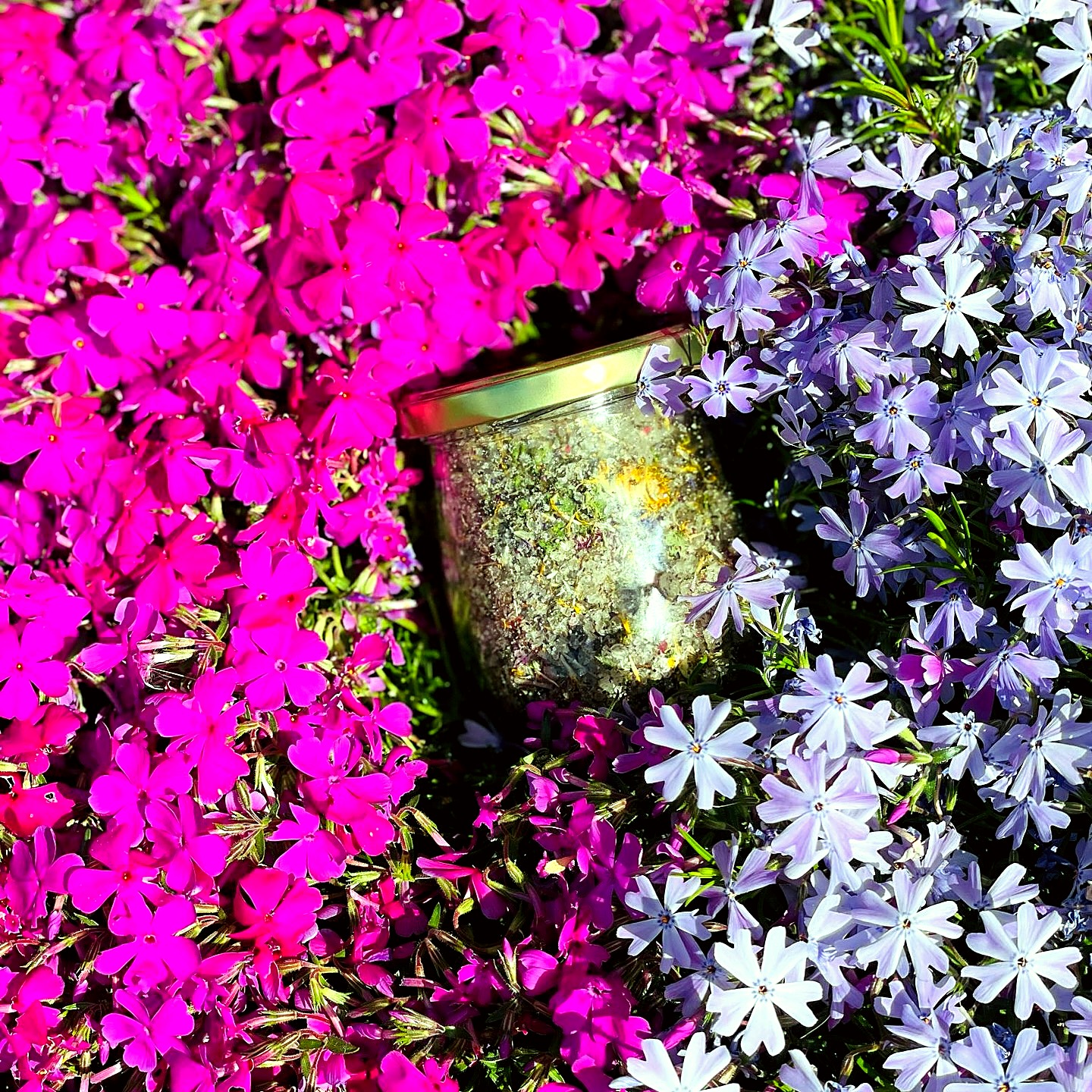 Blütensalz im Glas zwischen pinkem Phlox – handgemachte Köstlichkeiten von Fritzi