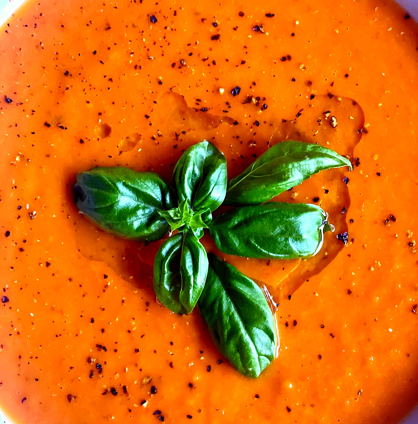 Cremige Kürbissuppe mit frischem Basilikum und Olivenöl – saisonale Küche vom Privatkoch